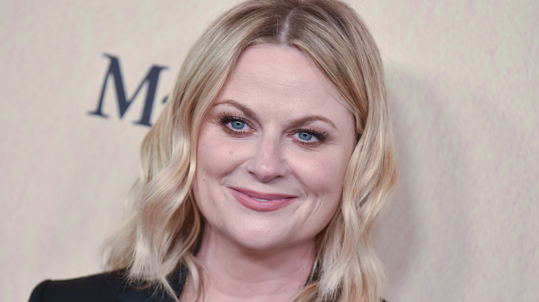 Amy Poehler smiling