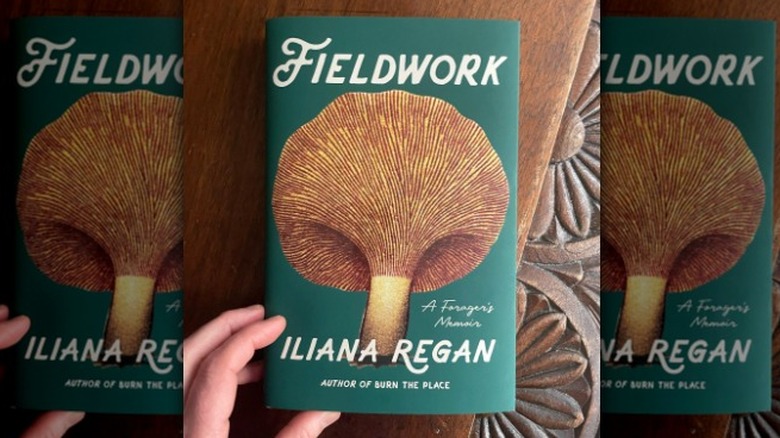 Fieldwork book cover