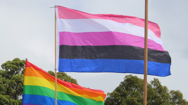 Two pride flags on poles 
