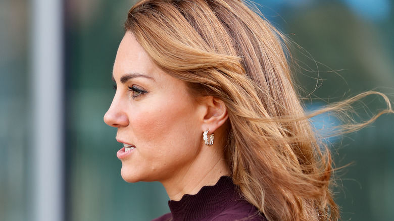 thick hair highlights