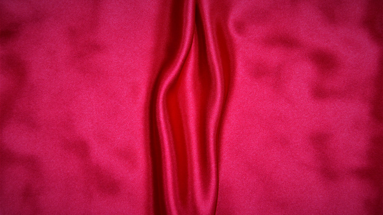 Cloth that is shaped like a labia