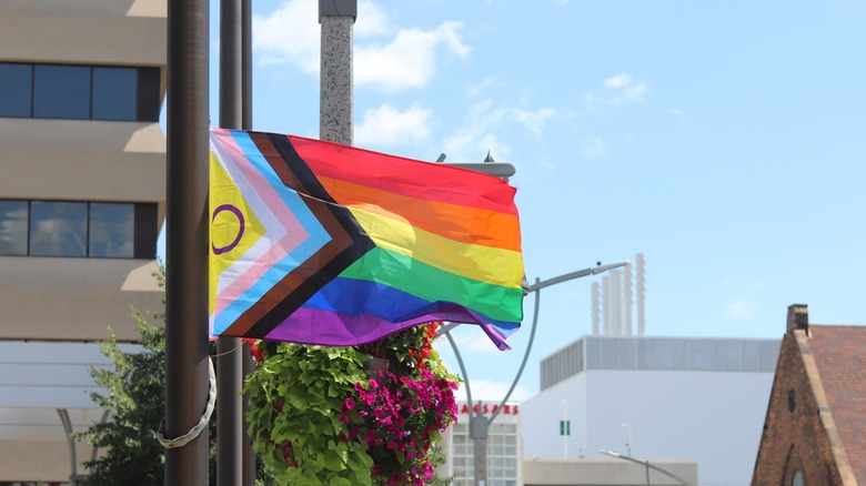 Intersex Pride Flag in wind