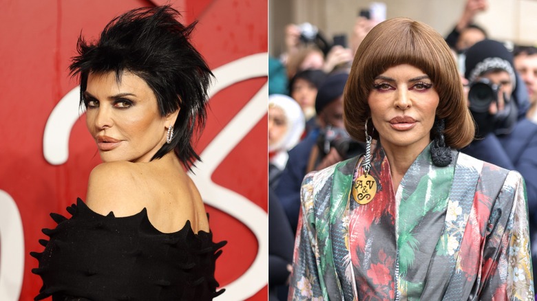 Lisa Rinna wearing wigs