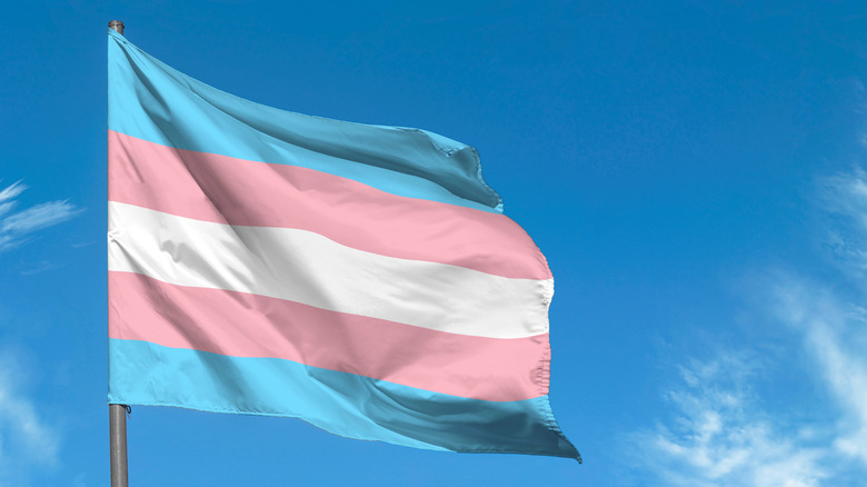 transgender flag 