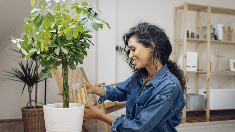 Woman watering her plants 