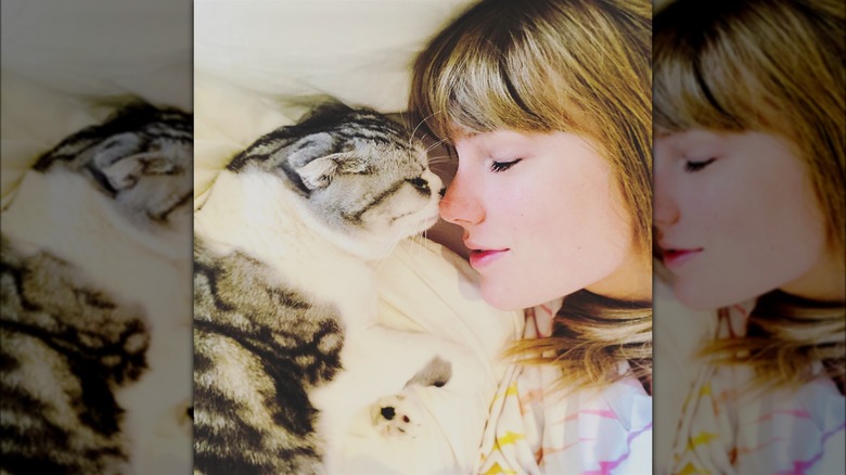 Taylor Swift with her cat