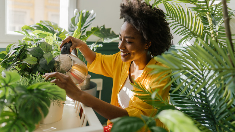 Woman watering her houseplants